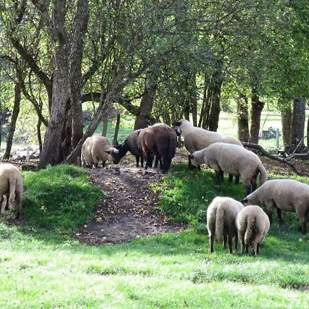 Дом отдыха A La Ferme Qui Prend Racines