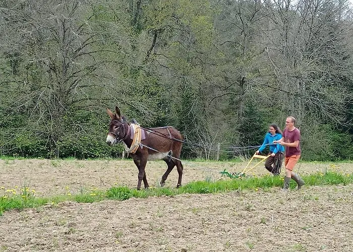 A La Ferme Qui Prend Racines