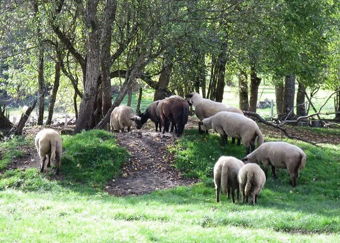 Holiday home A La Ferme Qui Prend Racines